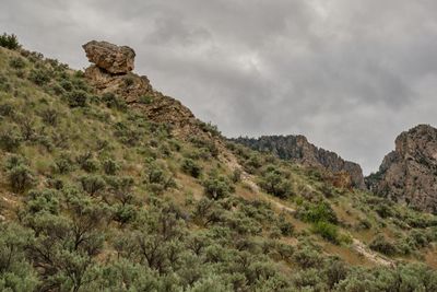 Goldbug Hot Springs