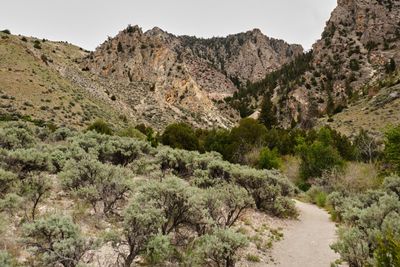 Goldbug Hot Springs