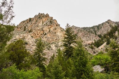 Goldbug Hot Springs