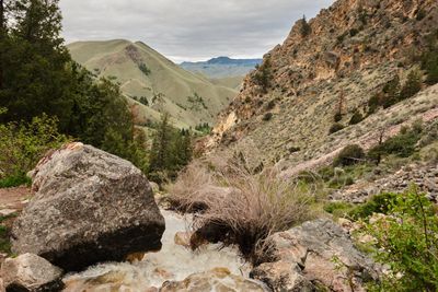 Goldbug Hot Springs