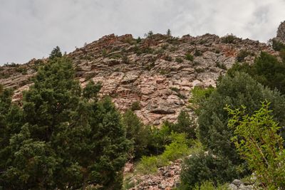 Goldbug Hot Springs