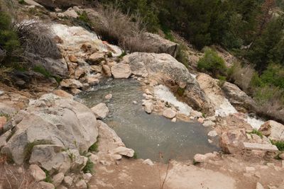 Goldbug Hot Springs