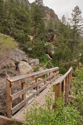 Goldbug Hot Springs