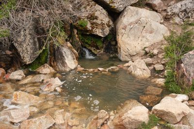 Goldbug Hot Springs