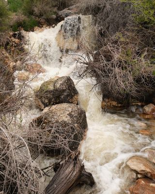 Goldbug Hot Springs