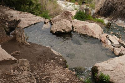 Goldbug Hot Springs