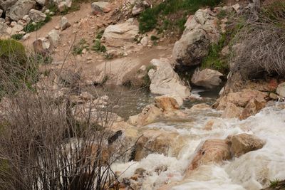 Goldbug Hot Springs