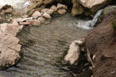 Goldbug Hot Springs