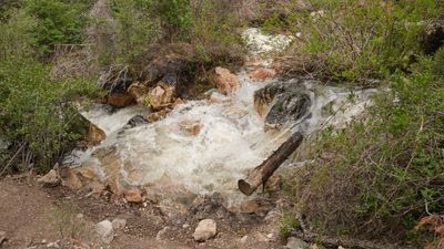 Goldbug Hot Springs