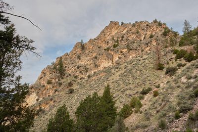 Goldbug Hot Springs