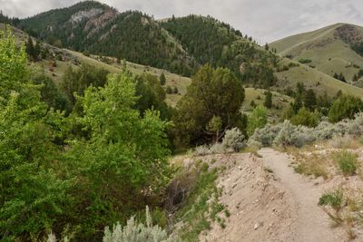 Goldbug Hot Springs