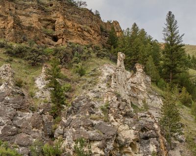 Goldbug Hot Springs