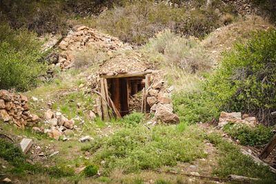 Bayhorse Ghost Town