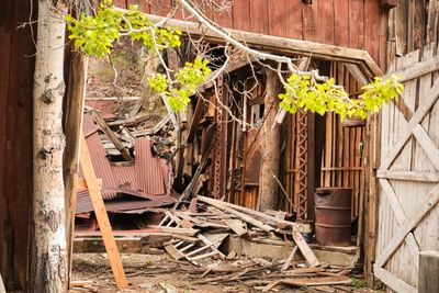 Bayhorse Ghost Town