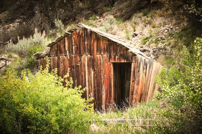 Bayhorse Ghost Town