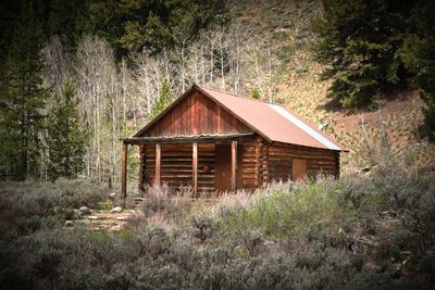 Custer Ghost Town