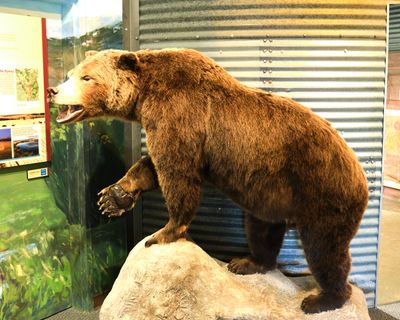 Teton Geotourism Center