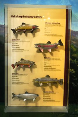 Teton Geotourism Center