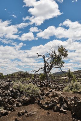Craters of the Moon National Monument and Preserve
