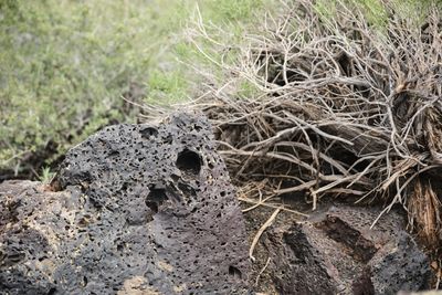 Craters of the Moon National Monument and Preserve