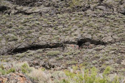 Craters of the Moon National Monument and Preserve