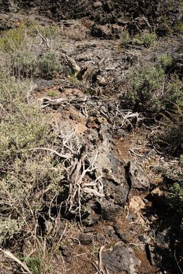 Craters of the Moon National Monument and Preserve