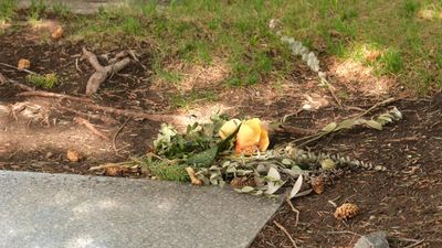 Ernest Hemingway's Grave