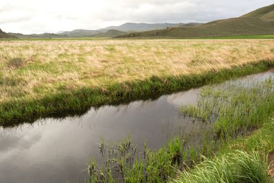 Camas Prairie Centennial Marsh