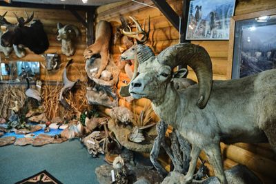 Lawson's Legacy Museum