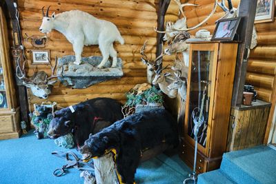 Lawson's Legacy Museum