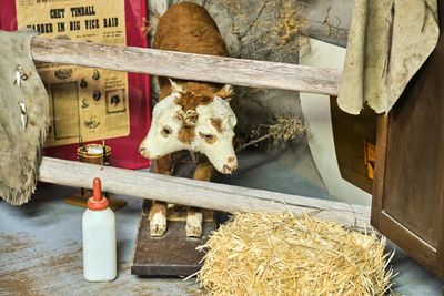 Lawson's Legacy Museum