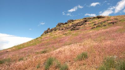 Initial Point of Idaho