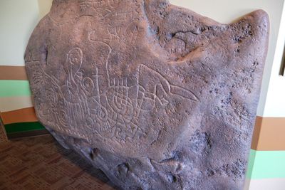 Deja-Moo - Idaho State Museum