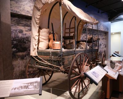Deja-Moo - Idaho State Museum