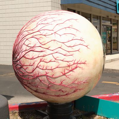 Biggest Eyeball in Idaho