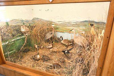 Large Ball of String - Harney County Historical Museum