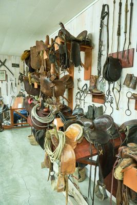 Freak Calves - Grant County Historical Museum