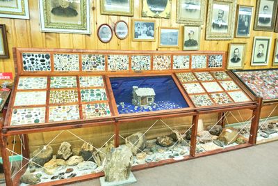 Freak Calves - Grant County Historical Museum