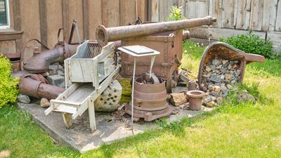 Freak Calves - Grant County Historical Museum