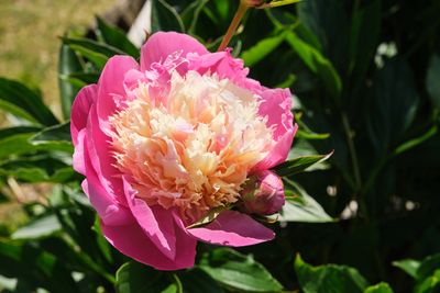 Bradner Gardens Park