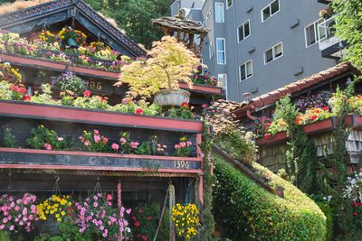 Alki Flower Houses