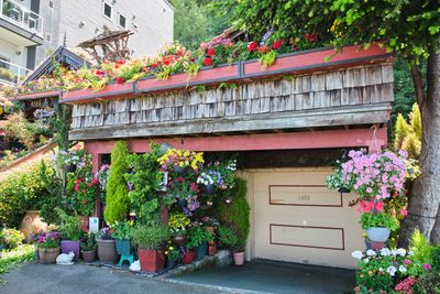 Alki Flower Houses