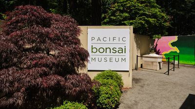 Pacific Bonsai Museum