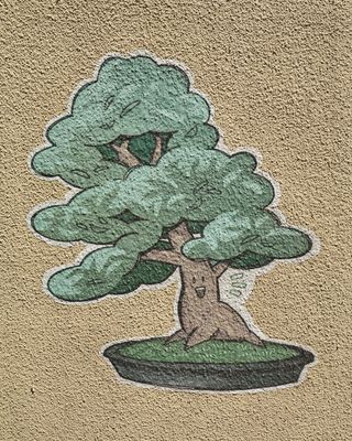 Pacific Bonsai Museum