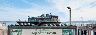 Top of the Ocean Monument