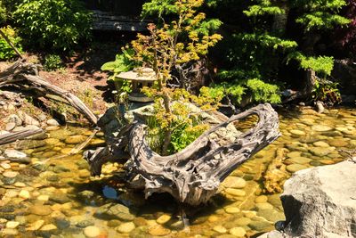 Elandan Gardens
