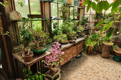 Elandan Gardens