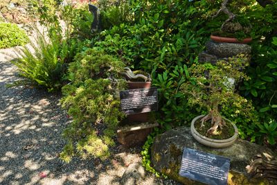 Elandan Gardens