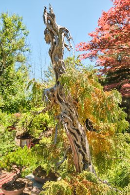 Elandan Gardens