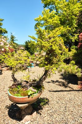 Elandan Gardens